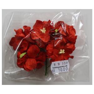 Gardenia Red - 35 - 40 mm - 5 stk