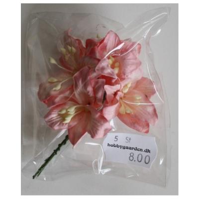 Liljer - Lys Pink 35 - 40 mm 5 stk