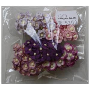 Sweetheart Blossom - Purple-Lilac Mix 10 mm 100 stk